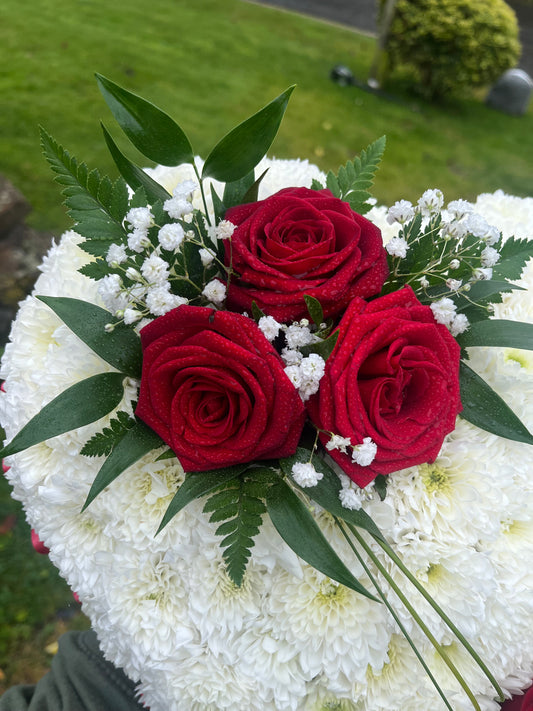 🌹Memorial Valentine Tribute🌹