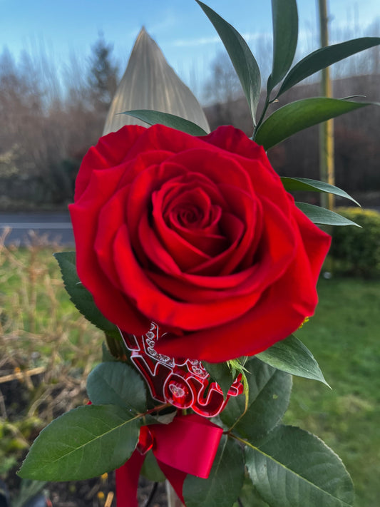🌹Single Luxurious Red Rose Set Within Unique Glass Bottle Vase 🌹
