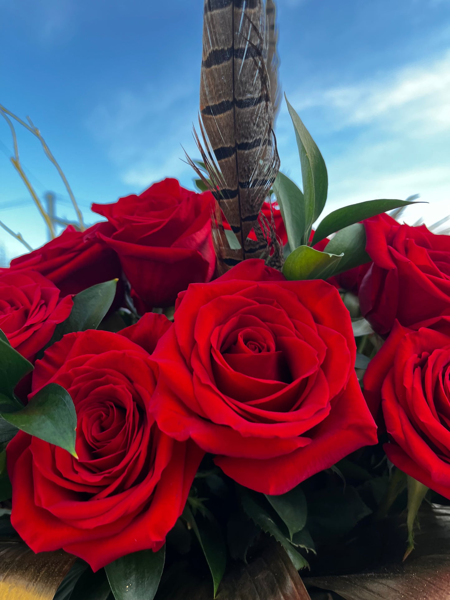 🌹 Luxurious Love 🌹