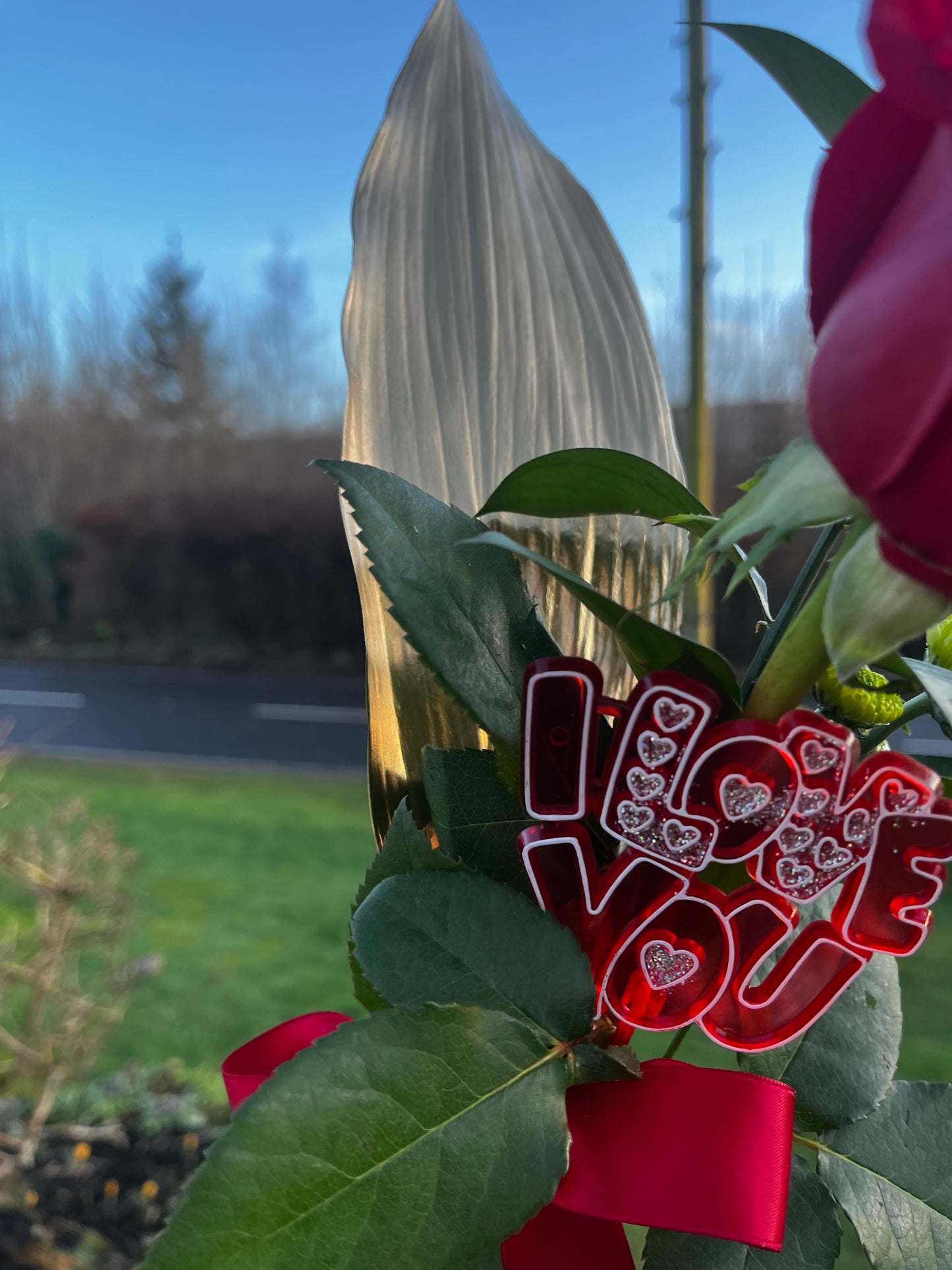 🌹Single Luxurious Red Rose Set Within Unique Glass Bottle Vase 🌹