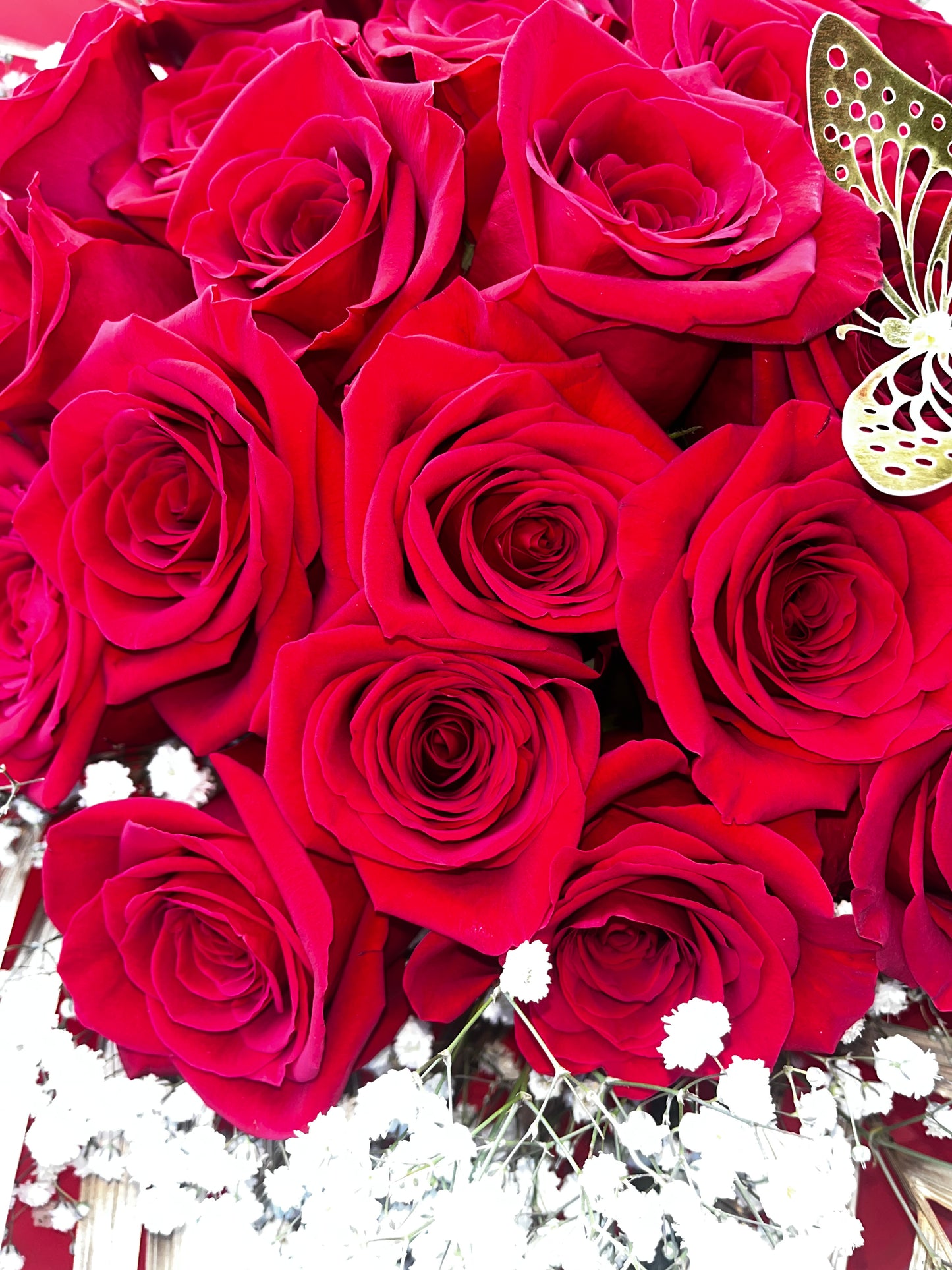 🌹 Two Dozen Luxurious Devotions 🌹