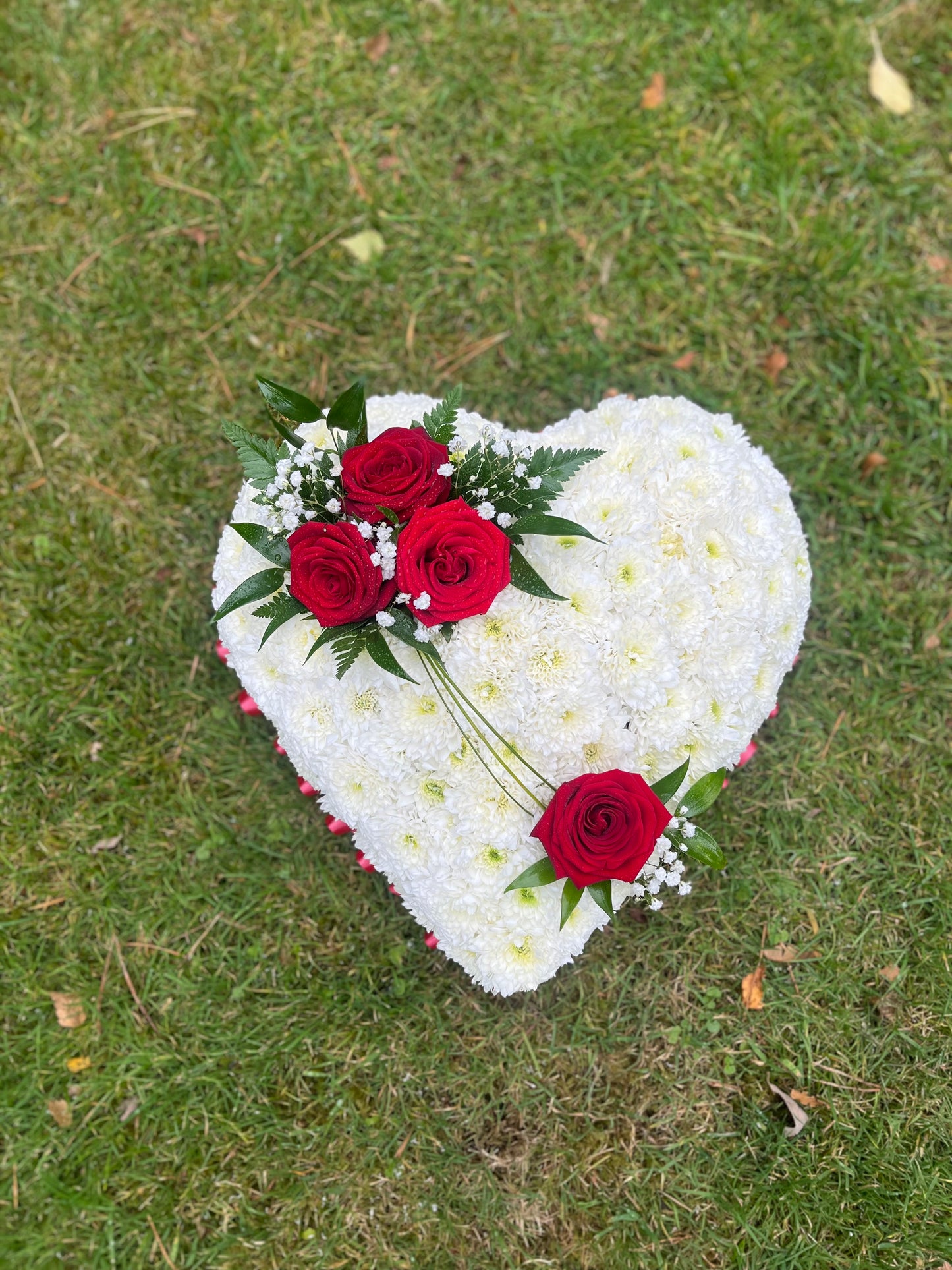 🌹Memorial Valentine Tribute🌹